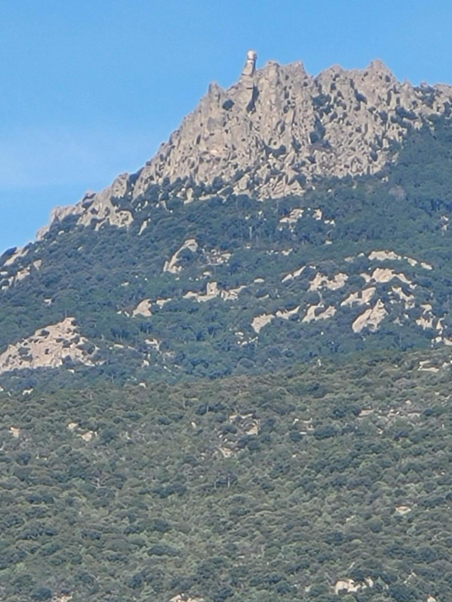 Argiale - Arghjale Villa Figari  Exteriör bild